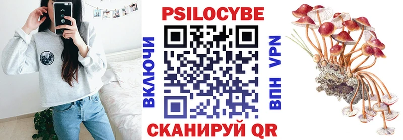 Галлюциногенные грибы Psilocybine cubensis  Купить  Кукмор 